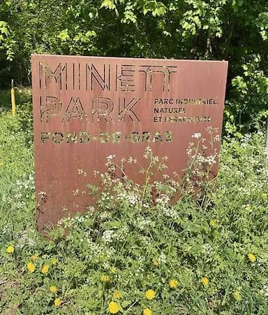 Lägenhet Situe Aux Abords De La Foret Avec Parking Differdange