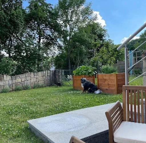 Situe Aux Abords De La Foret Avec Parking *