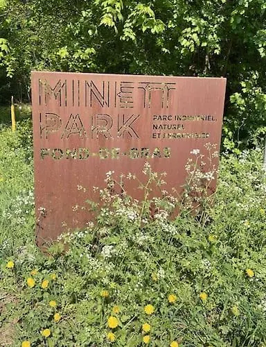 Appartement Situé Aux Abords De La Forêt Avec Parking Differdange